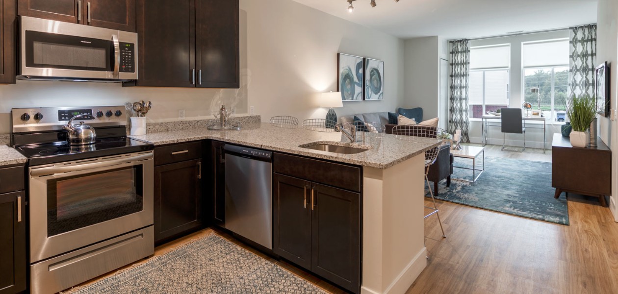 kitchen and living room