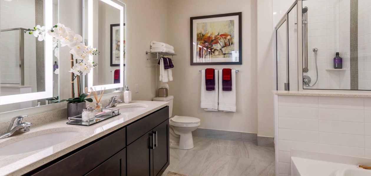 Bathroom Shower Tub
